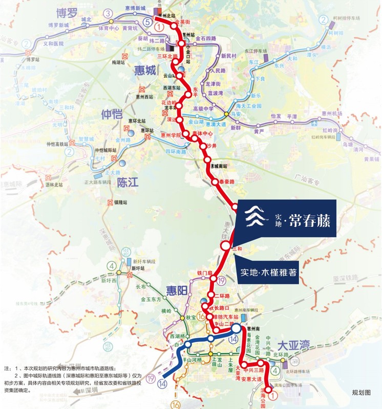 实地常春藤3.jpg